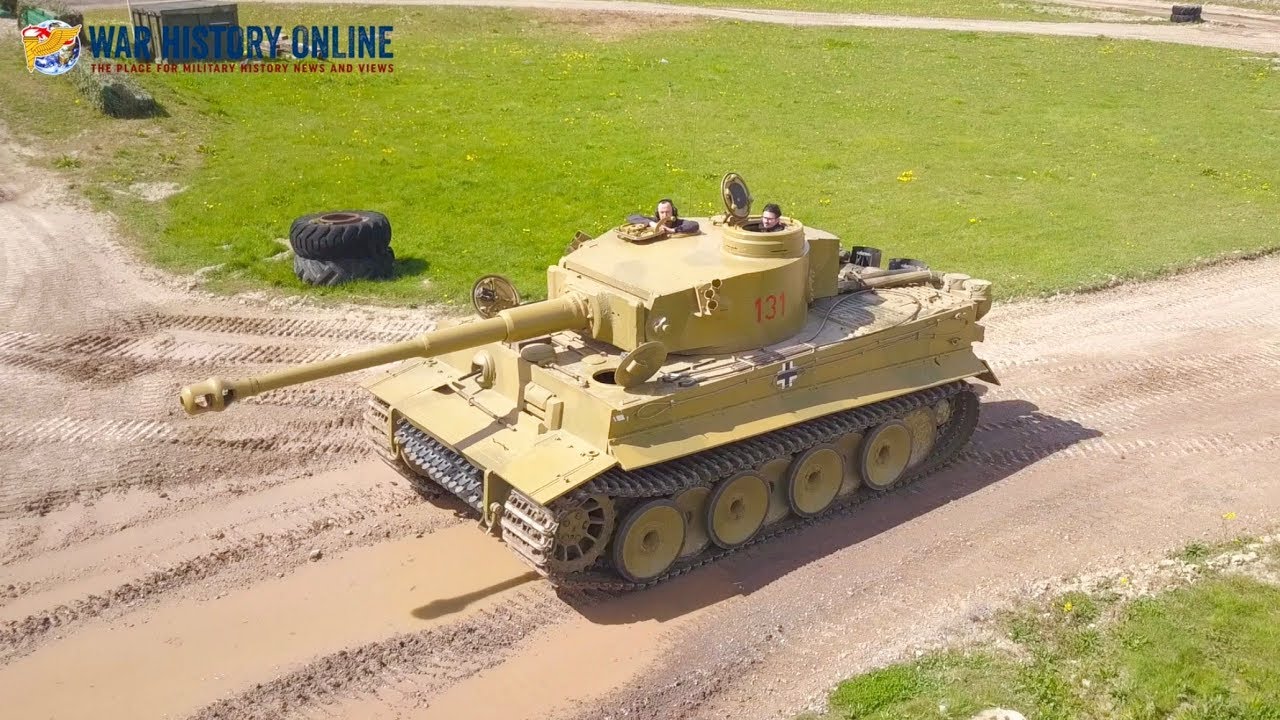 TIGER DAY 11- Drone Footage From Inside The Arena