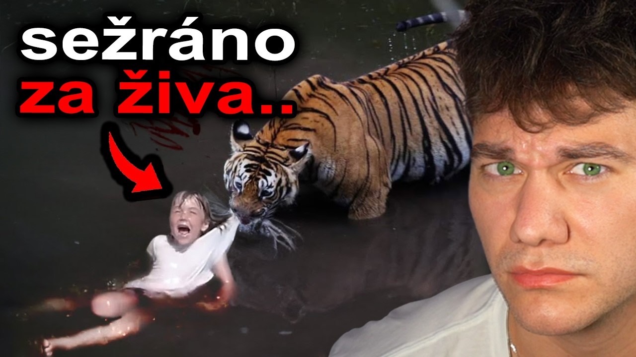 HODINA MOMENTŮ, KDY PREDÁTOŘI ZAÚTOČILI NA DĚTI..