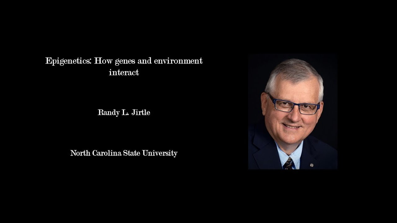 Epigenetics: How genes and environment interact - Randy L. Jirtle