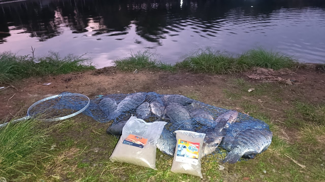CONTRA O VENTO E PERSISTÊNCIA, ESSE É O RESULTADO - PESCARIA DE TILAPIA NA DIÁRIA 