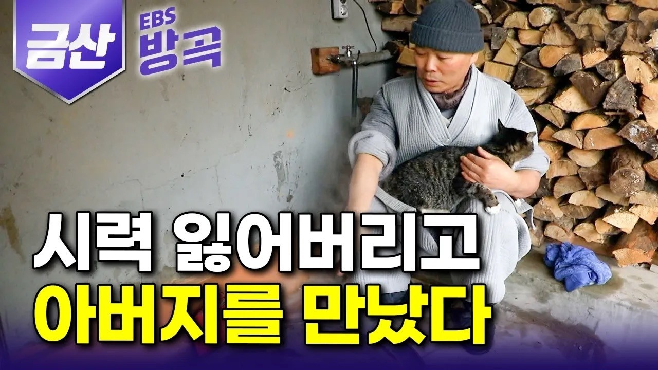 [충남 금산] 5월까지 난방 필수인 산사의 두 눈 모두 잃고 어미도 없이 버려진 고양이가 주지스님에게 알려준 깨달음｜천년고찰 신음사｜국내 여행｜#한국기행 #방방곡곡