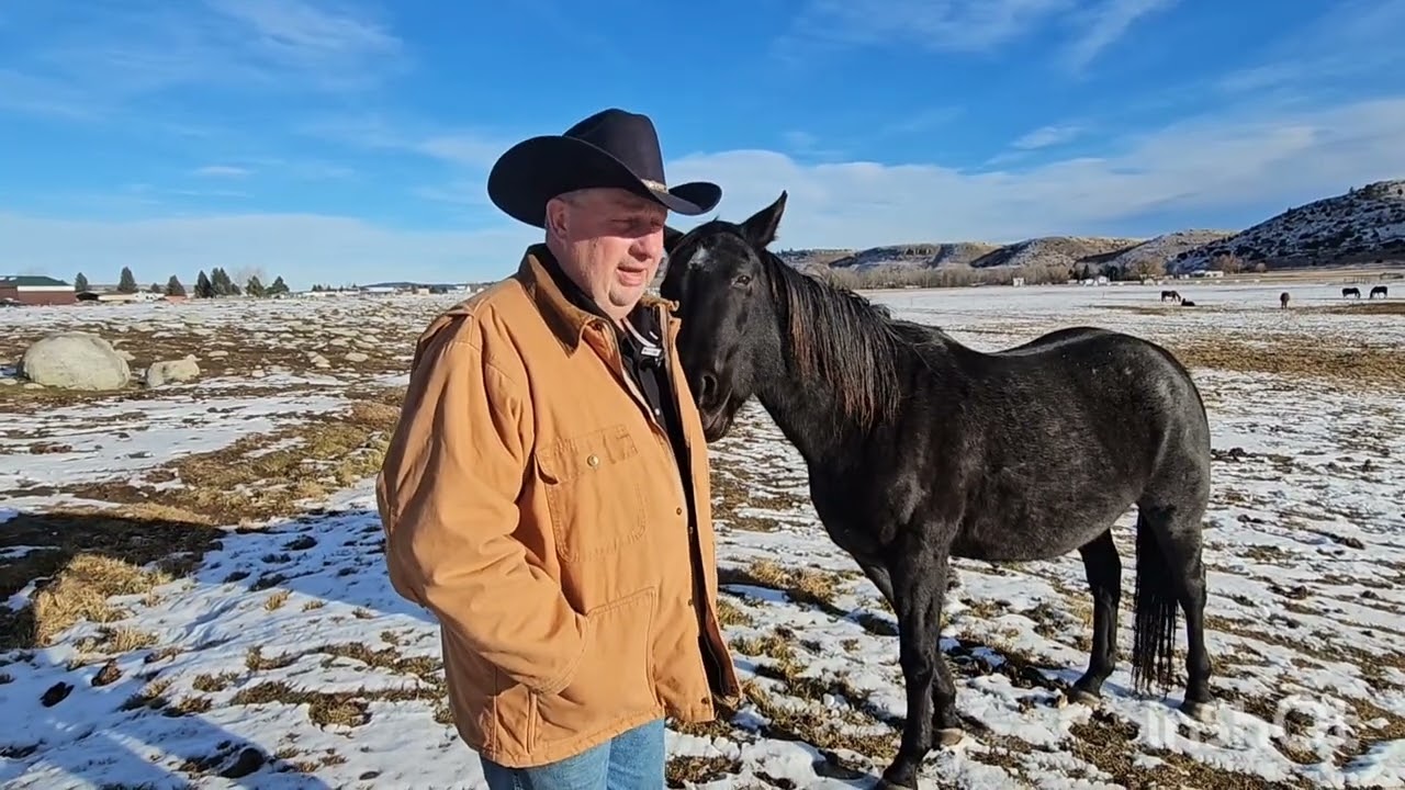Meet Me In Montana Podcast Deer Run Ranch cont.