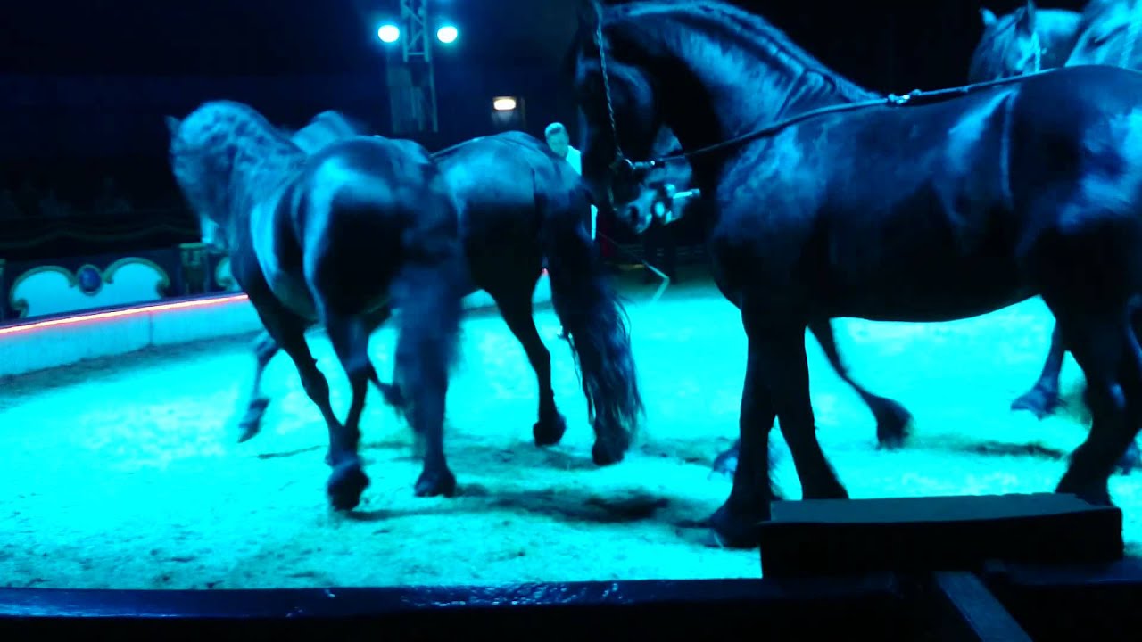 Bellywien Circus Eindhoven