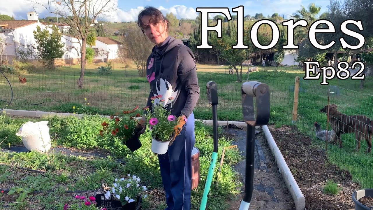 Empezamos a poner FLORES en el HUERTO inacabado. Ep82.