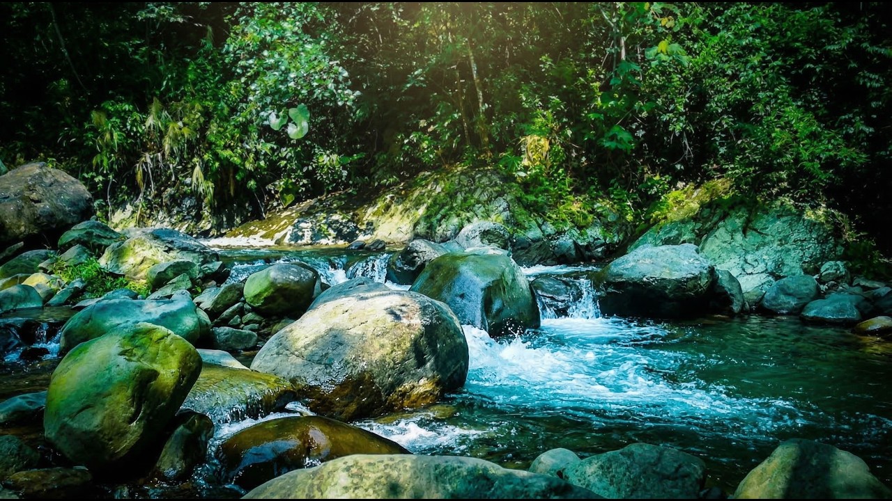 River Sounds for Deep Sleep 🌙 Relaxing Forest Stream ASMR | Nature Relaxation for Sleep & Meditation