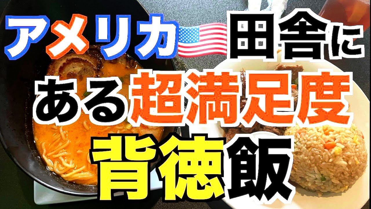 【アメリカ】背徳セットのラーメンとヒレ丼