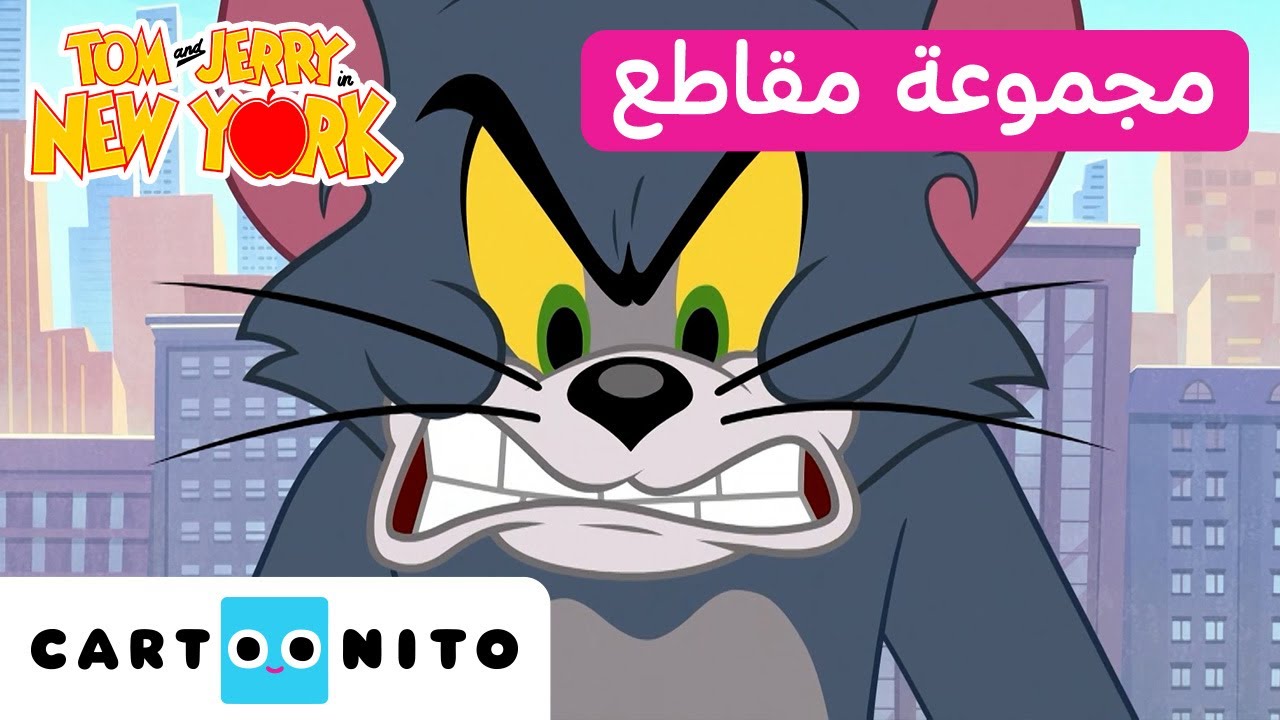 توم وجيري في نيويورك: تجميع طويل جداً | امسكه إذا استطعت! | كارتونيتو