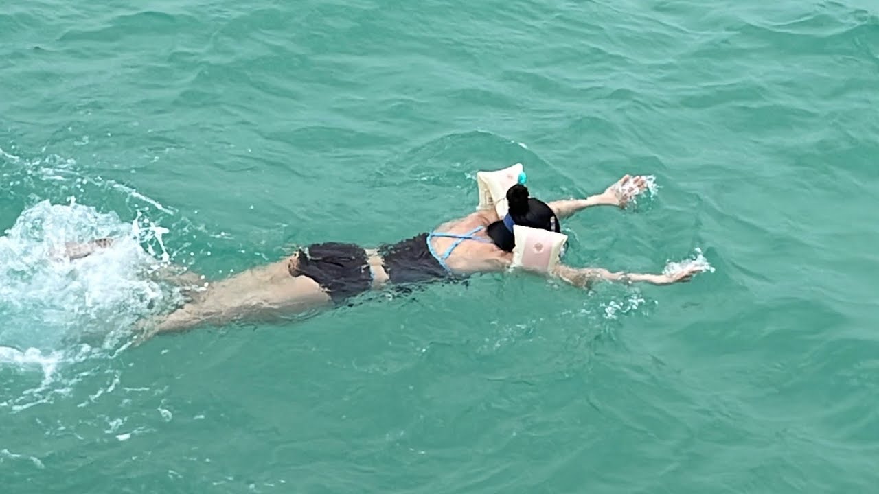 Jeju vlog • 제주에서 먹고 마시고 수영하라🕶️🥕🤑