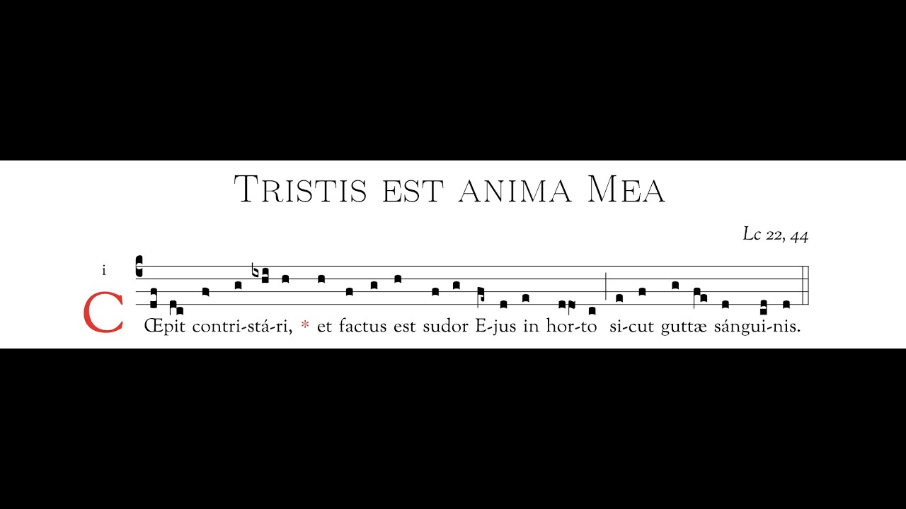 C1-Tristis est anima Mea