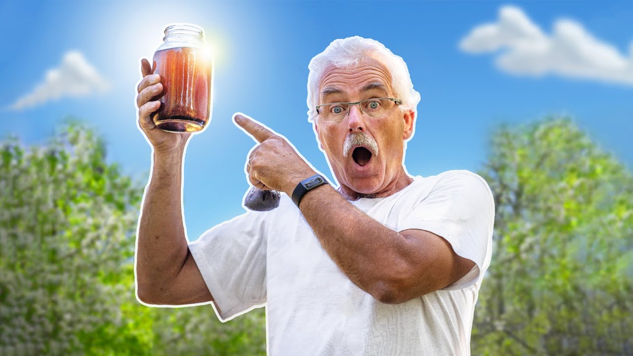 COMPOST TEA is THE ELIXIR to Make Your Plants SING!