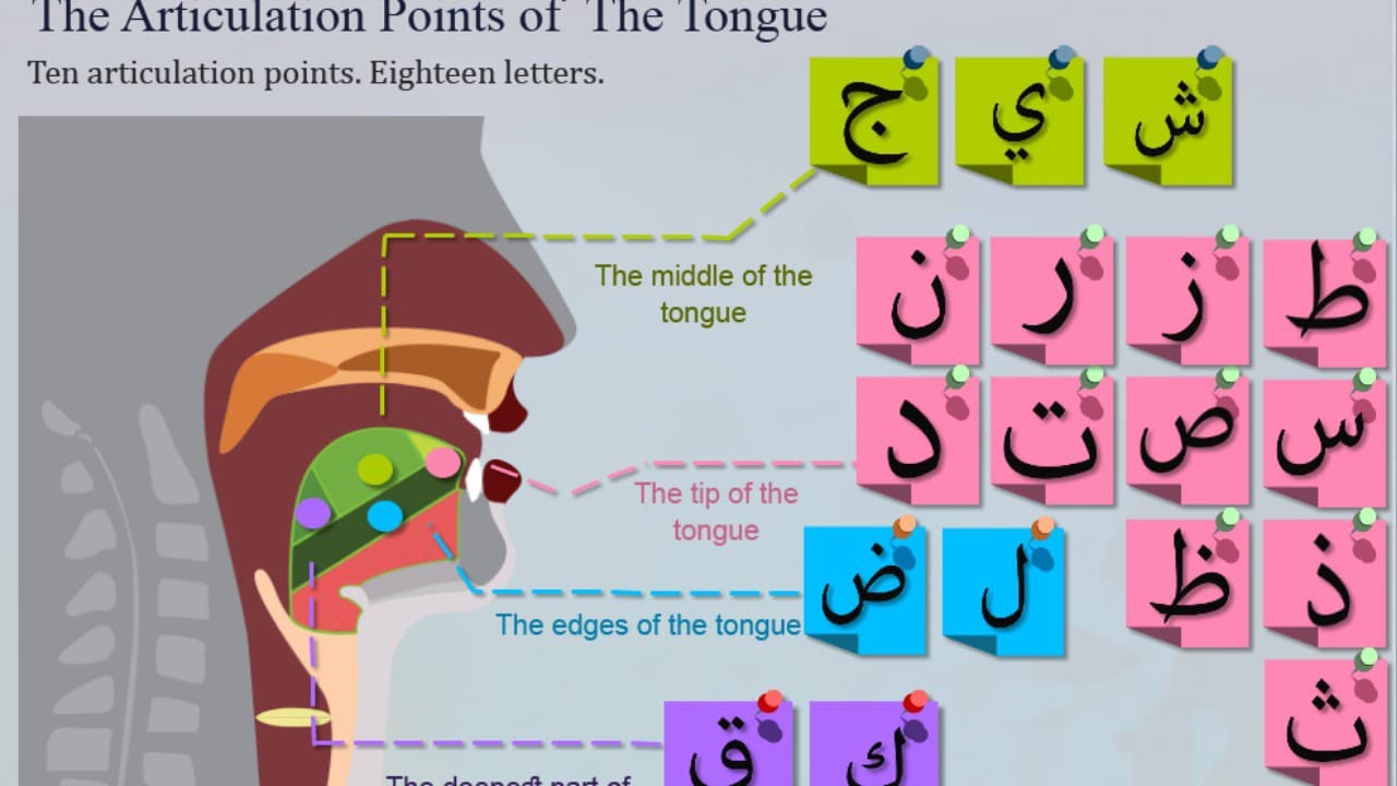 Tarteel Vibes is live