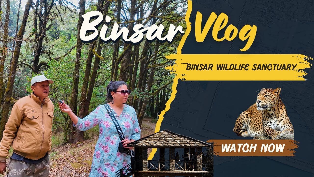 India&rsquo;s Hidden Forest Trail 🌲 | Trek to ZERO POINT in Binsar Wildlife Sanctuary!