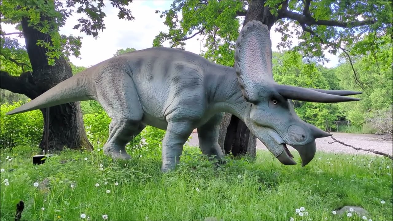 Tierpark Berlin im Frühling 2025 - Schön war's am Feiertag