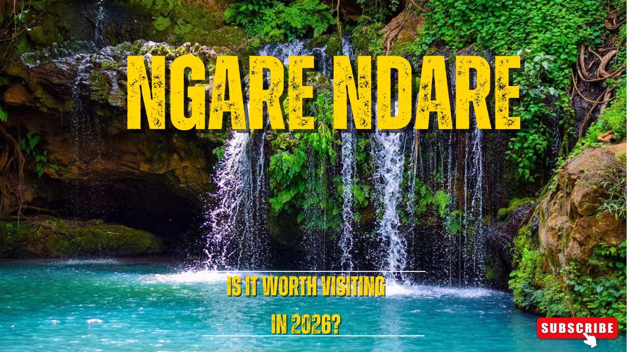 Ngare Ndare Forest 2026: Canopy, Blue waters and Scenic Escape