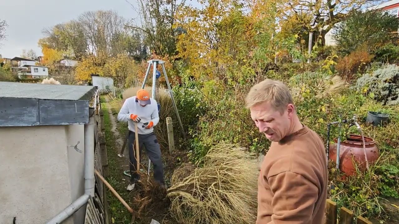 Ab durch die Hecke!