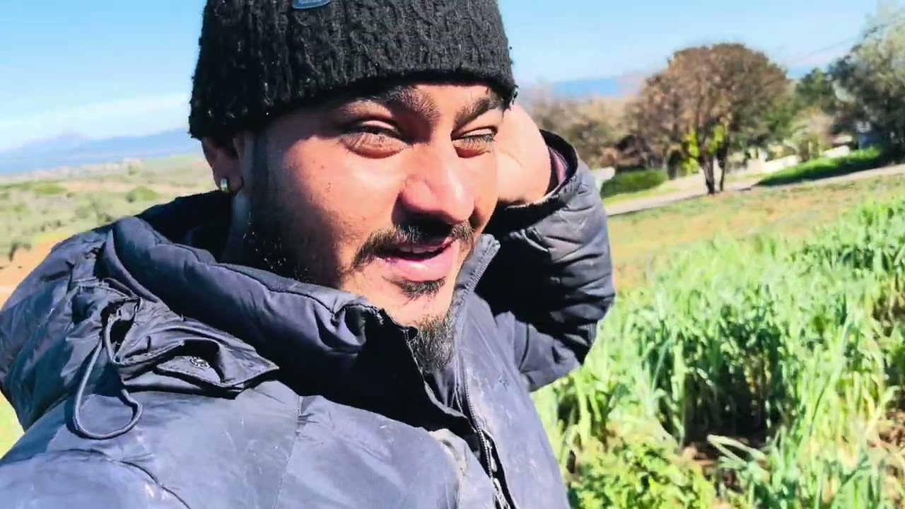 Ajj kiti maruli di gudayi te gye sman lain 