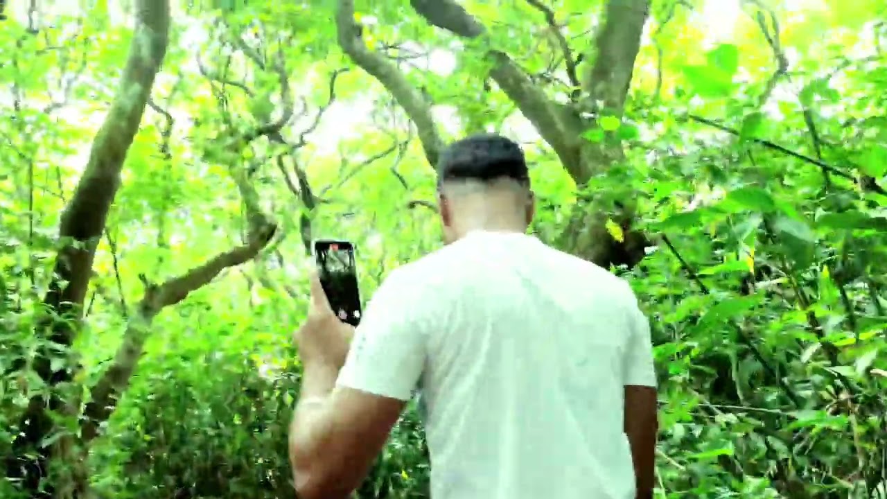 সিলেট রাতারগুল সোয়াম্প ফরেস্ট