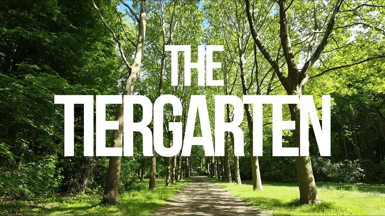 Relaxing Walk in Berlin’s Tiergarten Park – No Talking, Just Nature in 4K