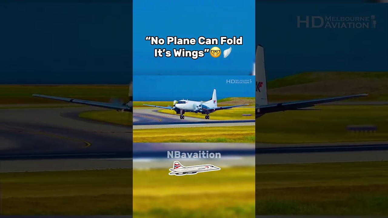 &ldquo;No Plane Can Fold It&rsquo;s Wings&rdquo;🤓🪽 #avgeekoftheweek #aviation 