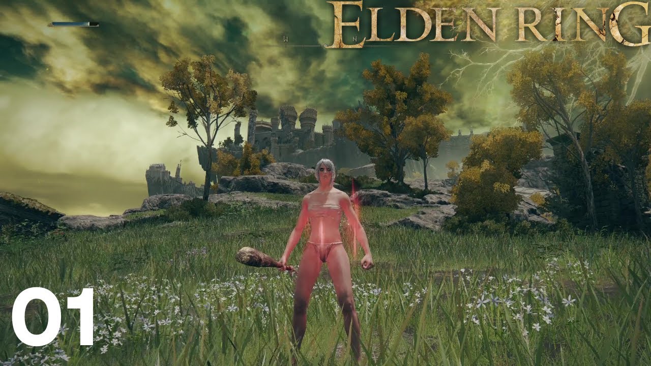 Bienvenue dans l'Entre-terre ! | ELDEN RING LET'S PLAY FR #1