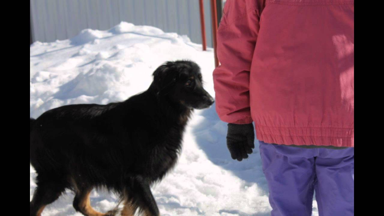 Ronja - miks kaikki kiusaa?