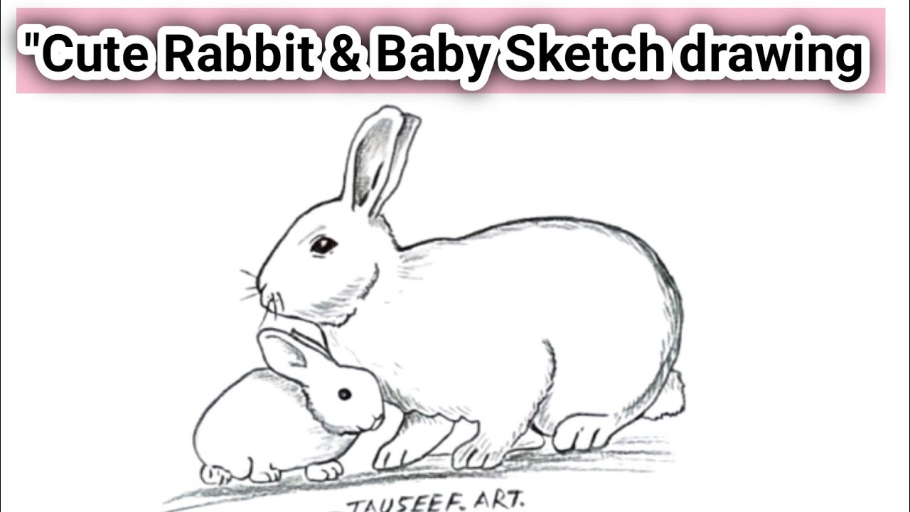 “Cute Rabbit & Baby Sketch Drawing 🐇 | Amazing Pencil Art Tutorial”