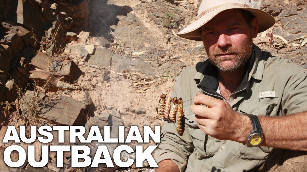 Survivorman | Австралийская глубинка | Сезон 3 | Эпизод 5 | Лес Страуд