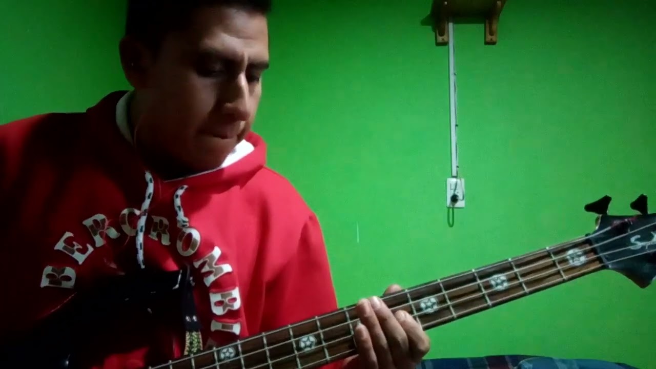 Dos cartas y una flor los caminantes  cover de bajo eléctrico
