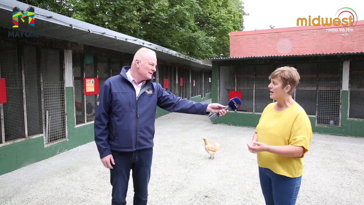 Graune Pet Farm - Marren's Magical Mayo