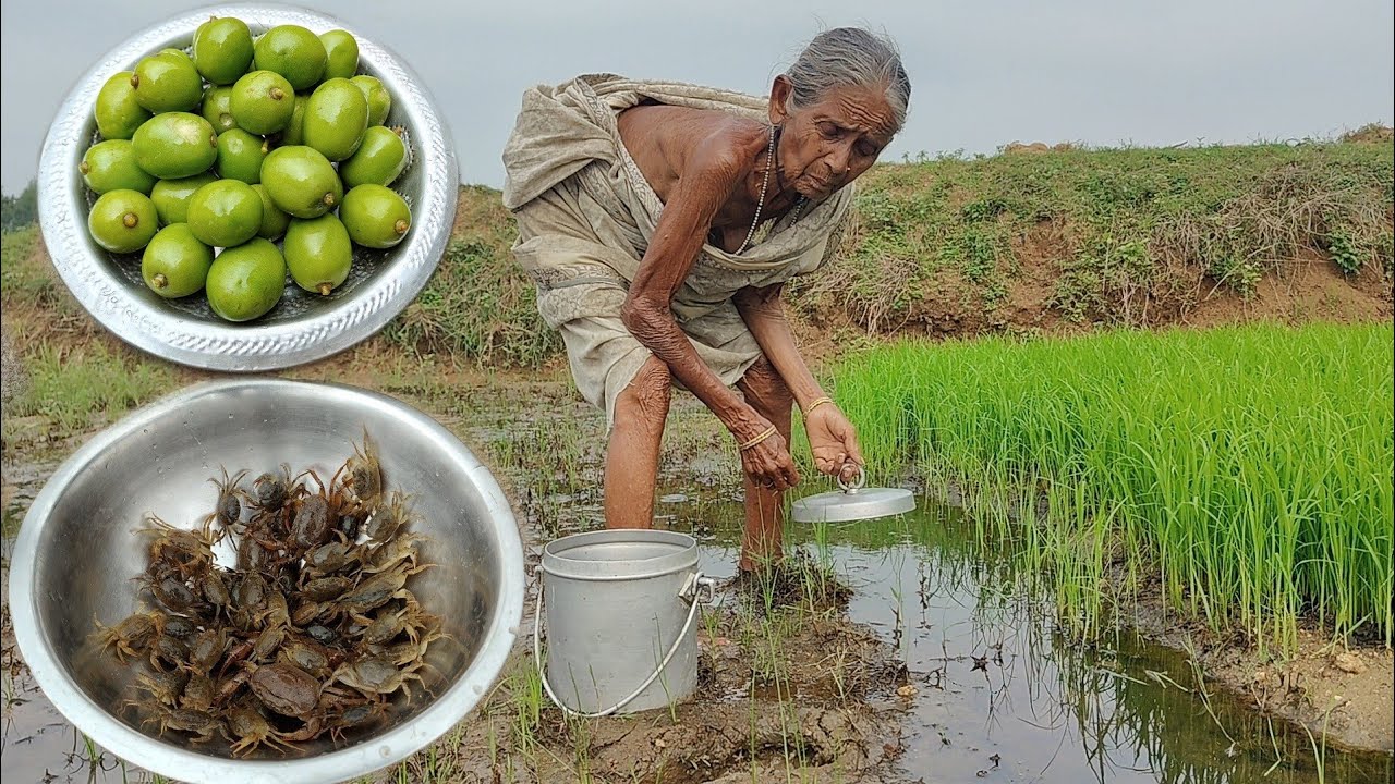 100 year old poor widow Grandma cooking KAKRA CURRY with Amra recipe and eating||Village kitchen
