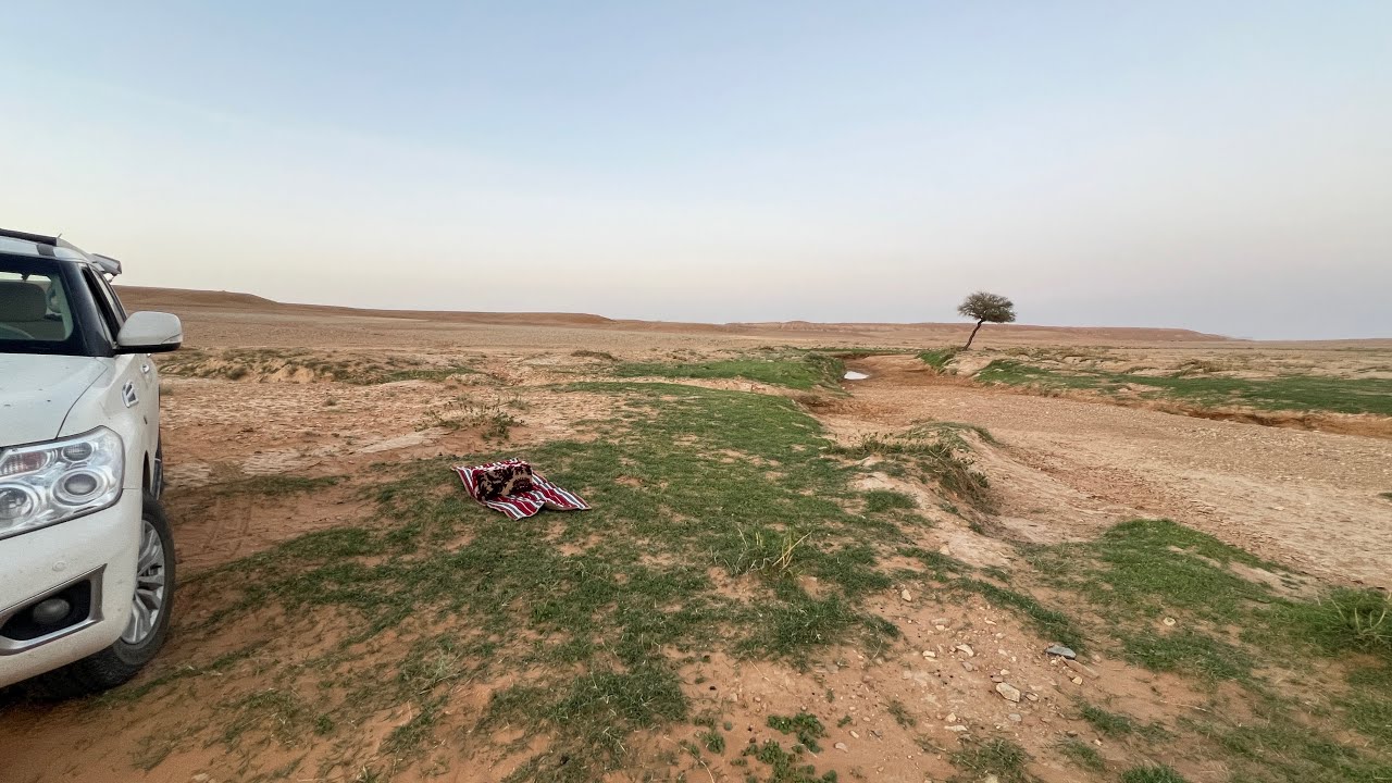 جولة سريعة لربيع بعد امطار شهر  رمضان