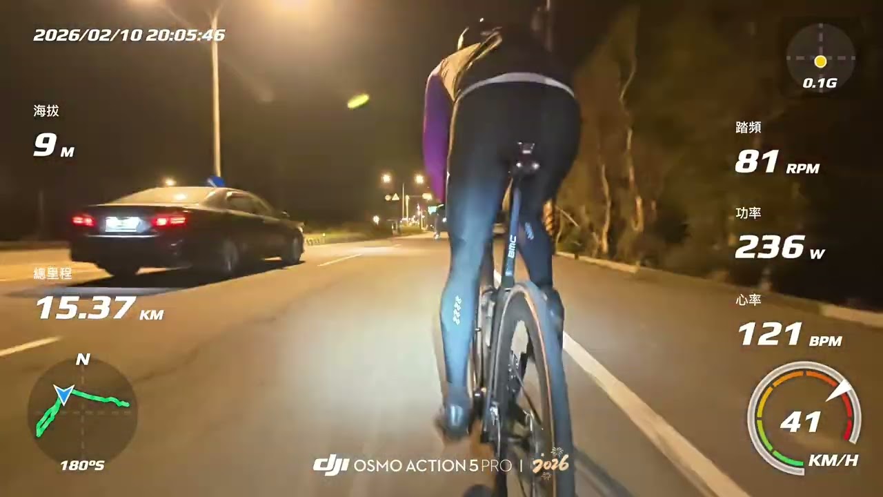 2026 歲末海鷗
