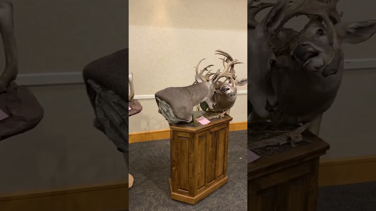 Texas Taxidermy Convention 2023
