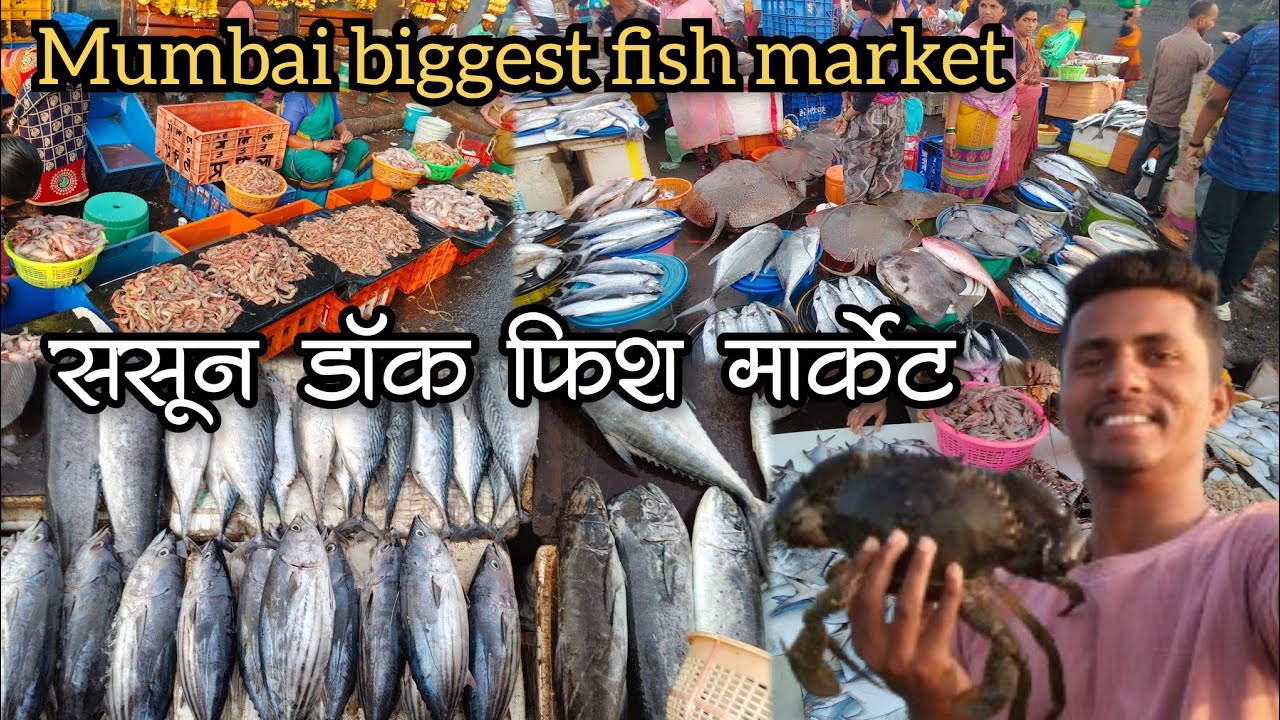मुंबईतील सर्वात जुने फिश मार्केट, सर्वात स्वस्त व फ्रेश मच्छी इथे मिळते🐟🦐|Sassoon dock fish market|