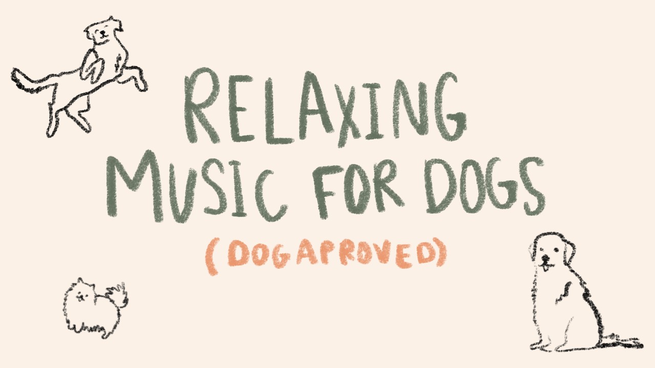 Loopable Dog Approved Calming Music | Peaceful Pet Acoustics For Anxiety Relief