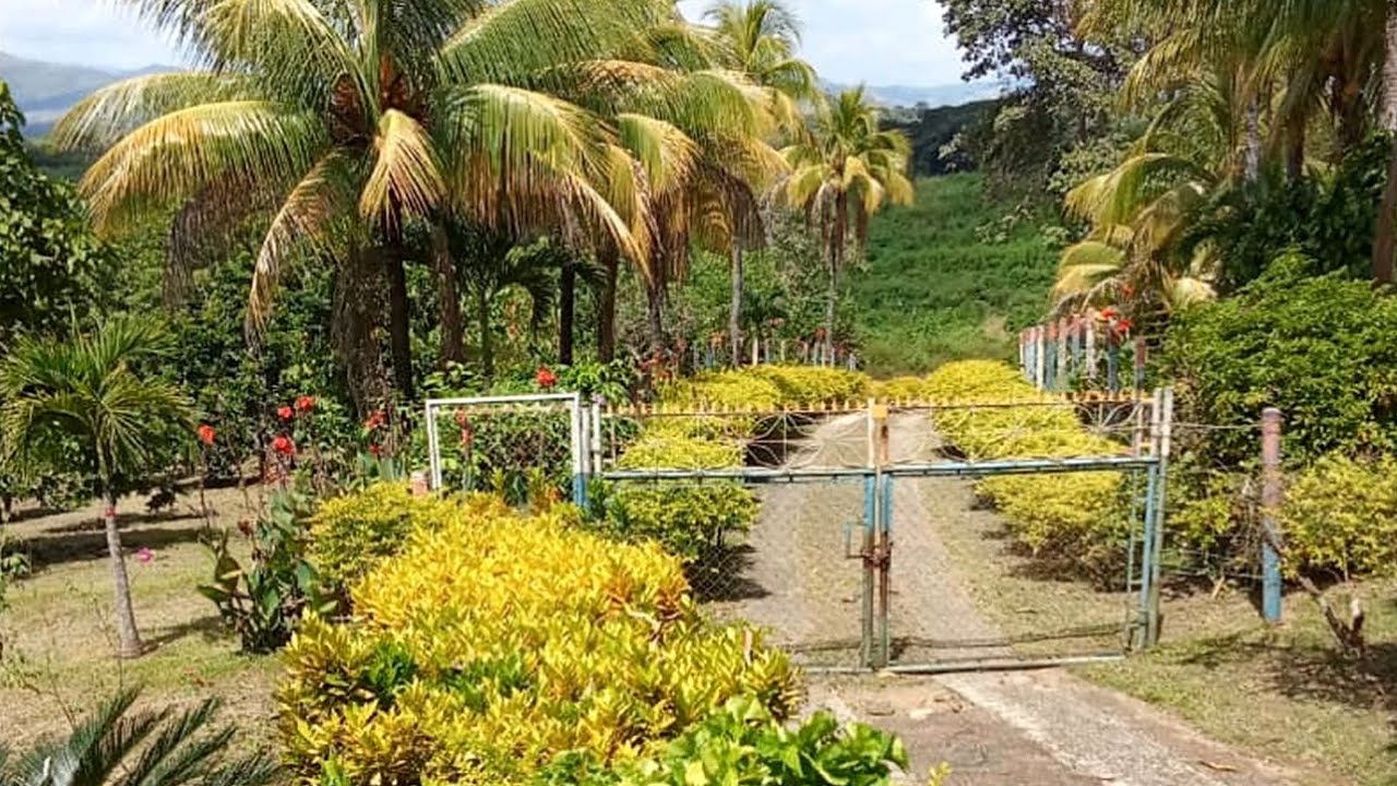 En Venta Finca Barata con Casa, Cultivos, Agua y Electricidad USD-40,000