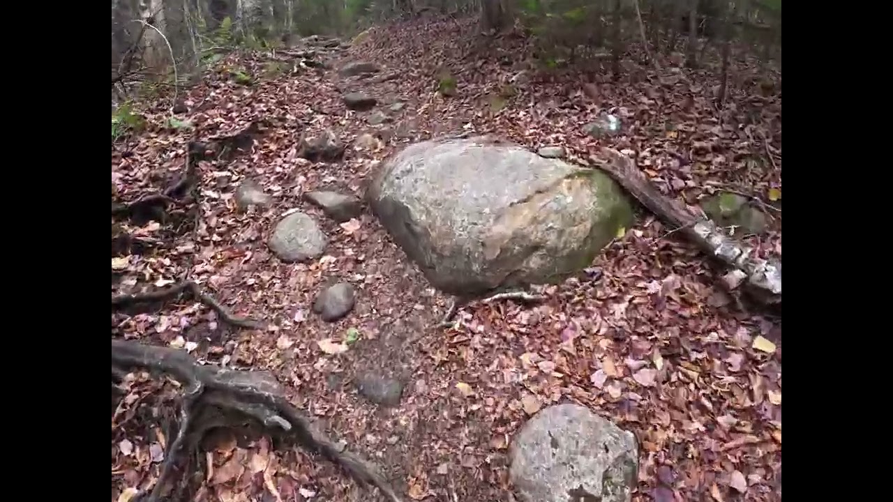 Hiking Mount Tom, Field, Willey & Avalon with My Dog 🐾 | Epic White Mountains Traverse (AllTrails)