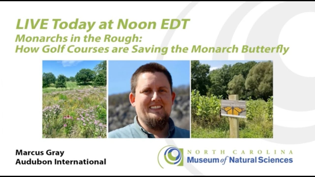 Lunchtime Discovery Series: Monarchs in the Rough