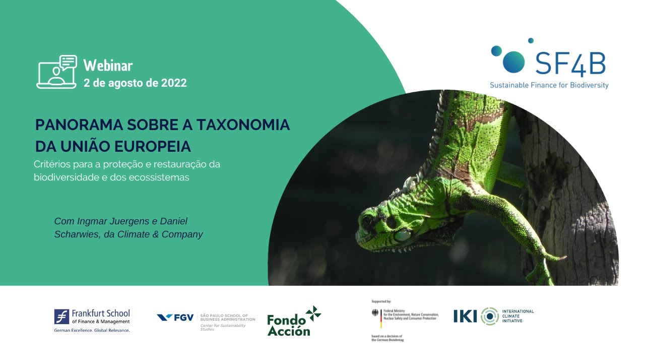 Panorama sobre a Taxonomia da União Europeia