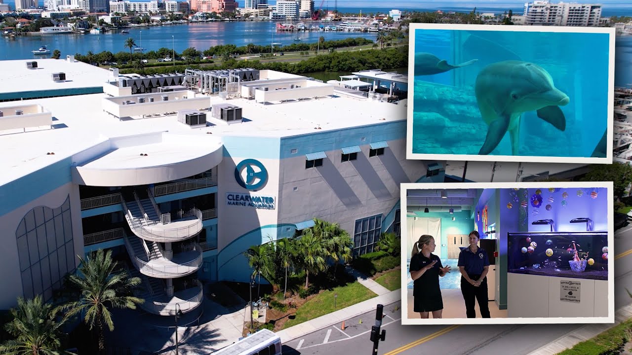 За кулисами аквариума Clearwater Marine | Визит команды Waterbox Aquariums
