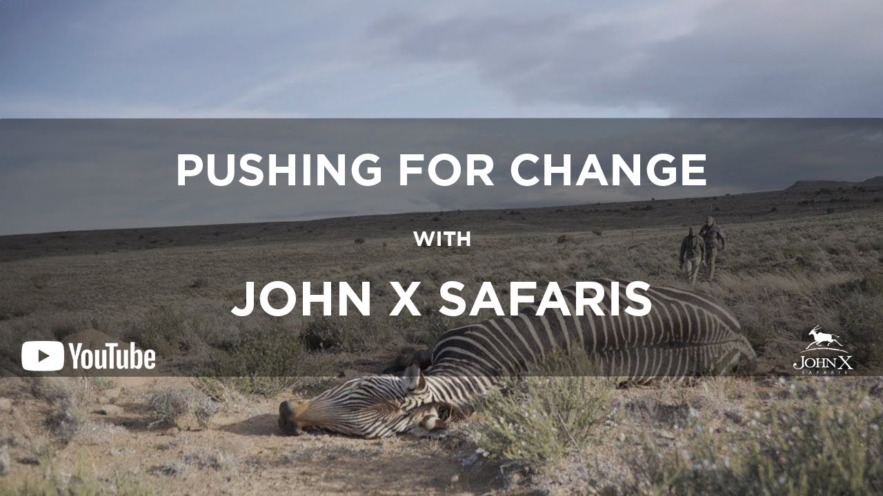 Стремление к переменам | Кейбл Смит о Cape Mnt Zebra | John X Safaris