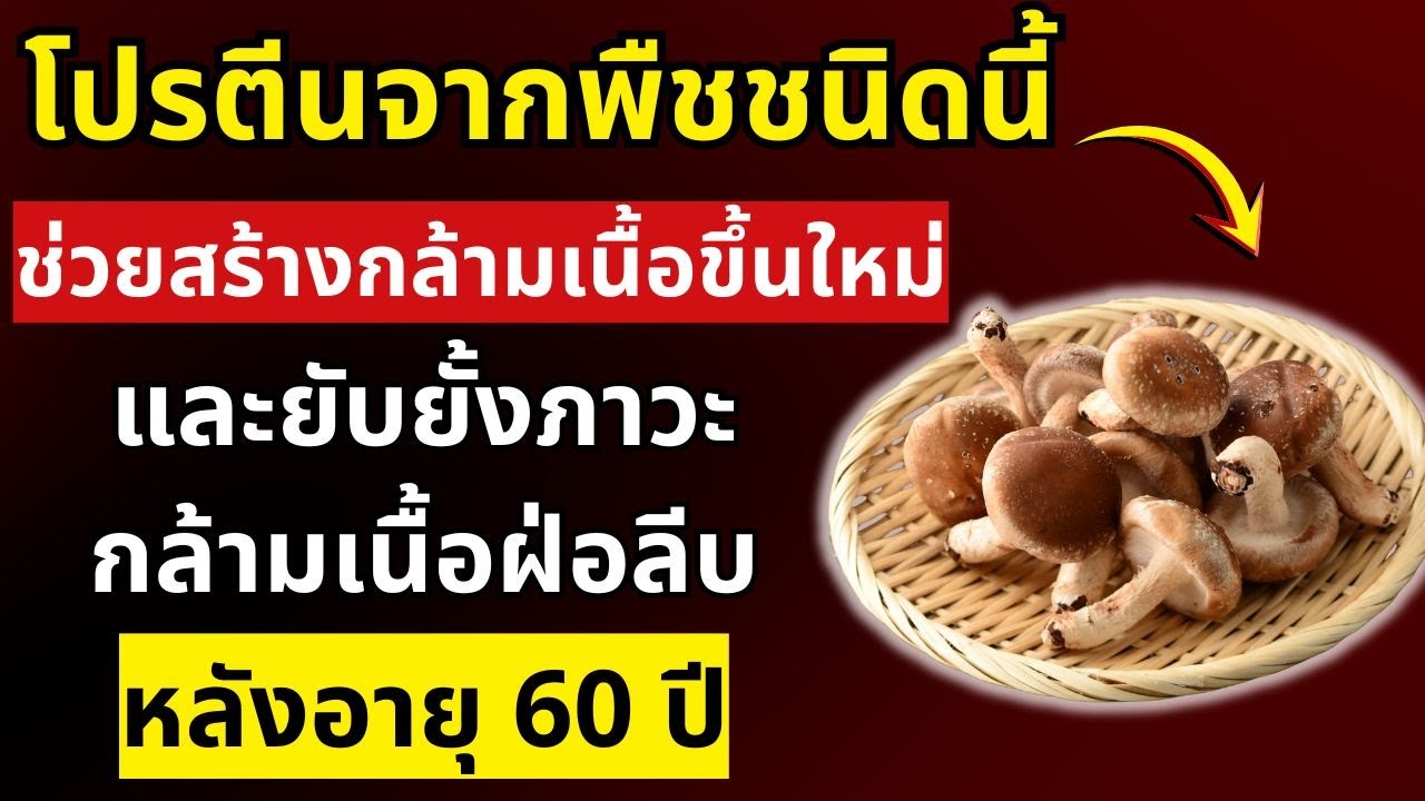 ไม่ต้องใช้ไข่อีกต่อไป! โปรตีนพืชนี้ช่วยฟื้นฟูกล้ามเนื้อ และหยุดยั้งกล้ามเนื้อฝ่อหลังอายุ 60 ปี