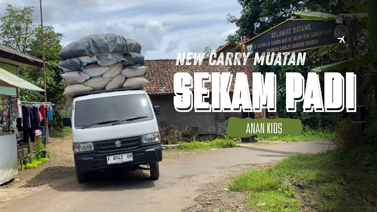 Perjuangan muat sekam padi pake new carry