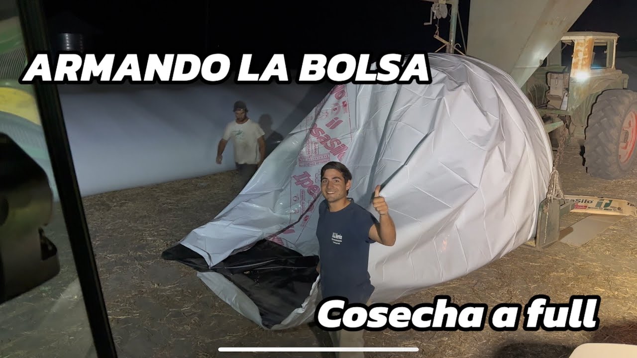 sigue la TRILLA DE SOJA con visita, CINCHANDO CAMION, se PINCHÓ el DEUTZ y ARMANDO la BOLSA de NOCHE