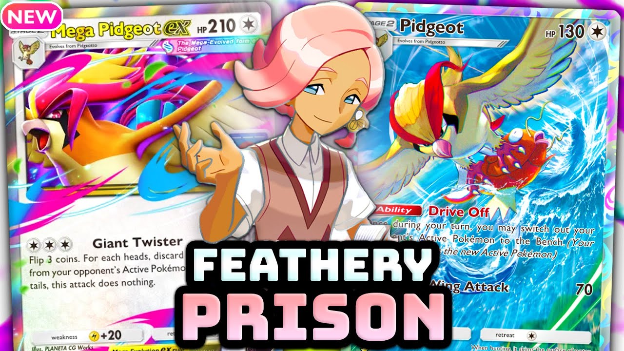 The BEST Mega Pidgeot EX deck | Pokemon TCG Pocket