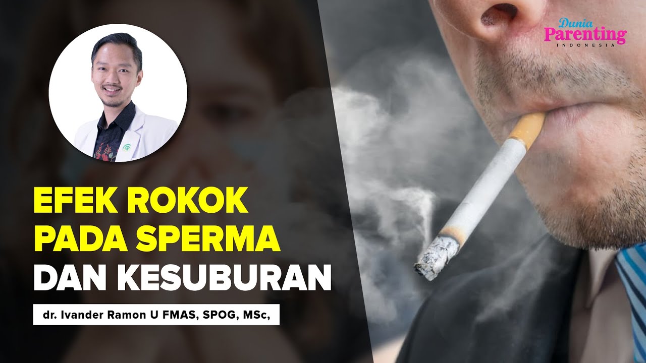 Apakah Rokok Menurunkan Kualitas Sperma? dr. Ivander Ramon Utama, F.MAS, Sp.OG, Msc Dunia Parenting