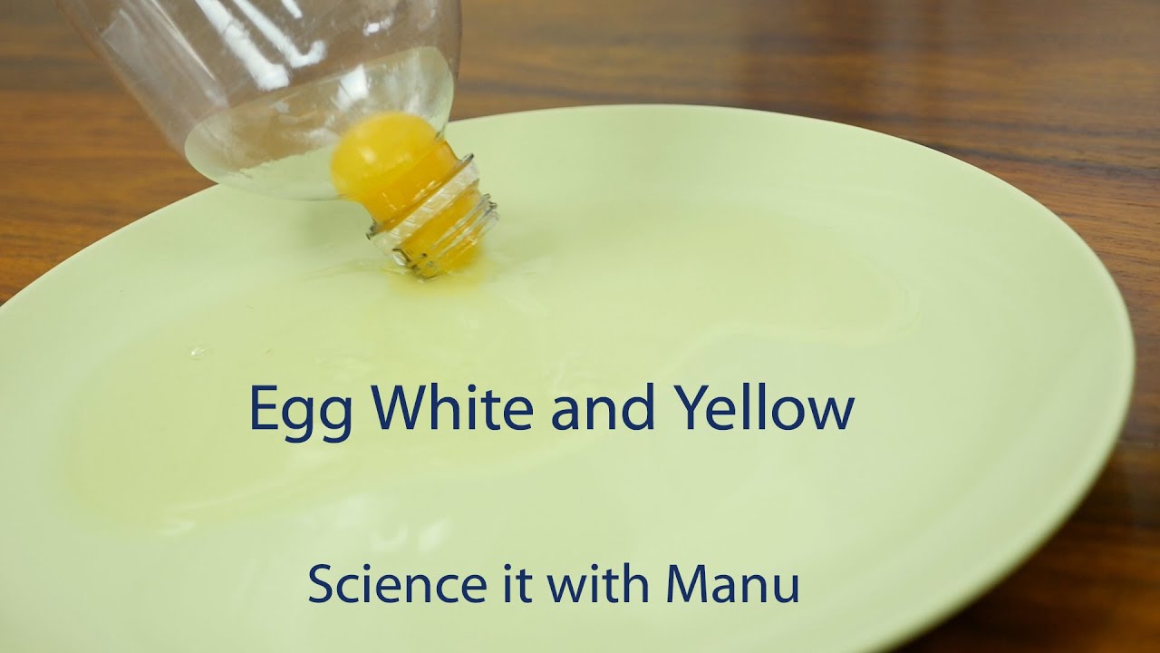 Science it with Manu - Egg Yellow and White