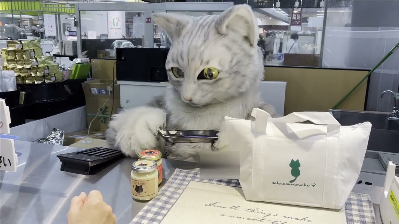 猫の店員さん・ミクちゃんに会ってきた [CAT SELLING PUDDING]