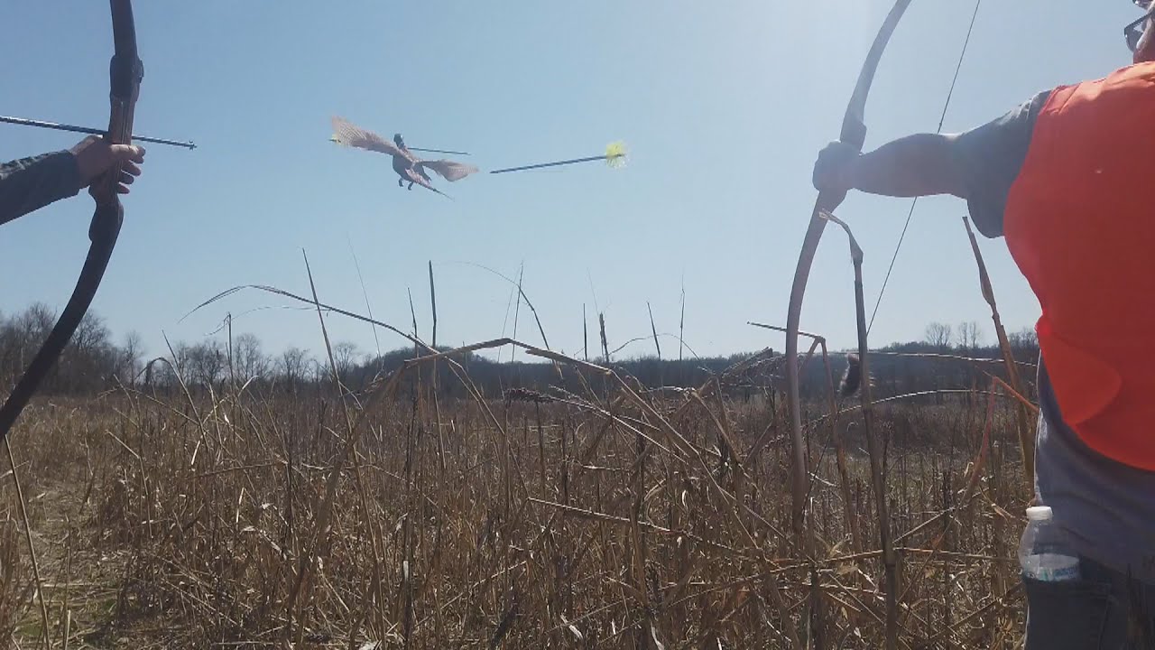 Pheasant hunt slow motion