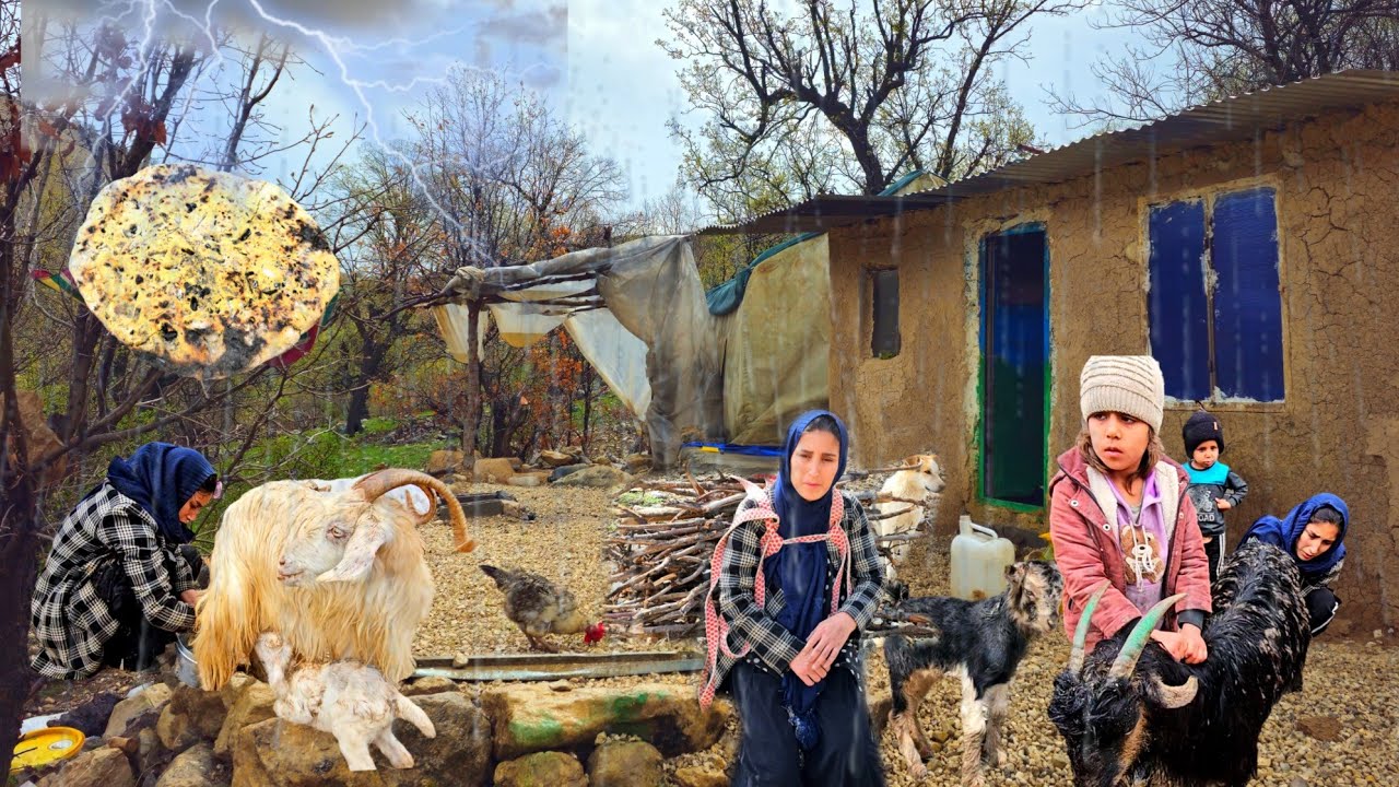 🌧️ A rainy day with mountain nomads: hardships, pristine nature and simple life🏕️#Nomadic life